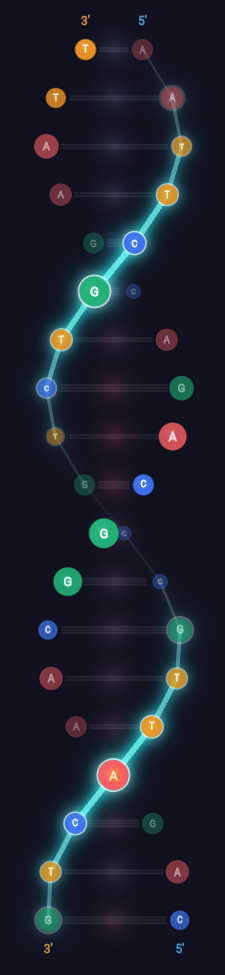 DNA Helix Visualization